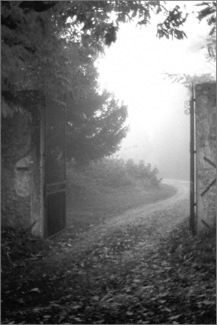 * ~ bavardage ultra spécial sur presque rien ~ *